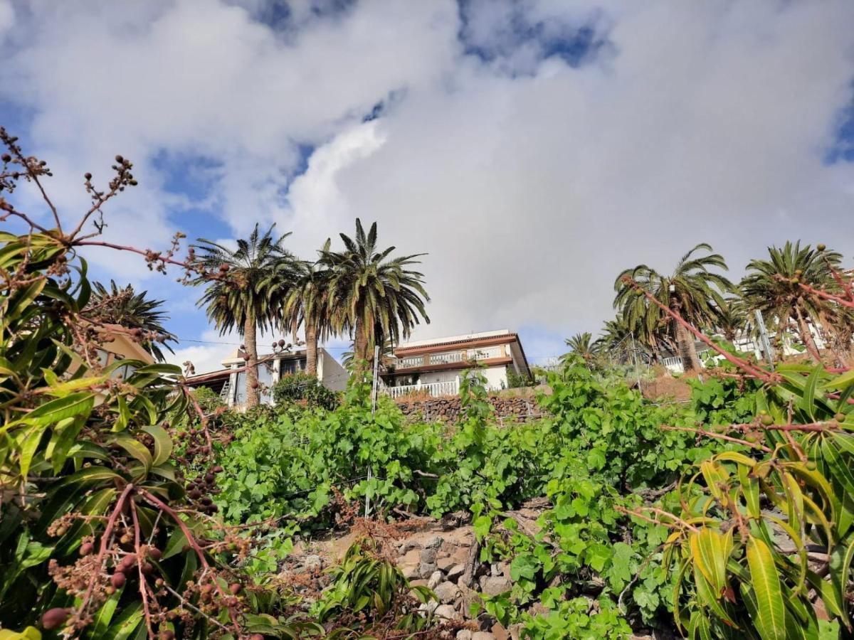 Casa Rural La Vega Алохера Экстерьер фото
