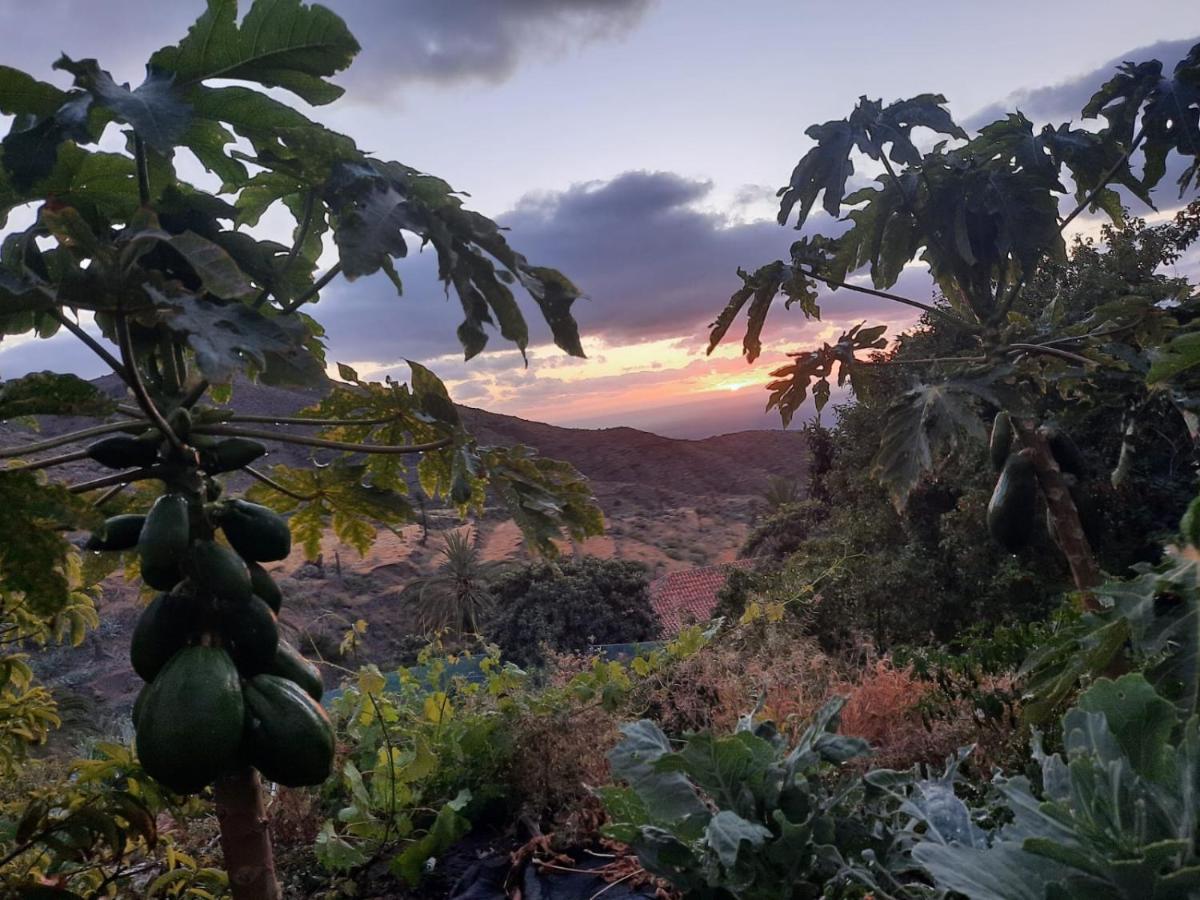 Casa Rural La Vega Алохера Экстерьер фото