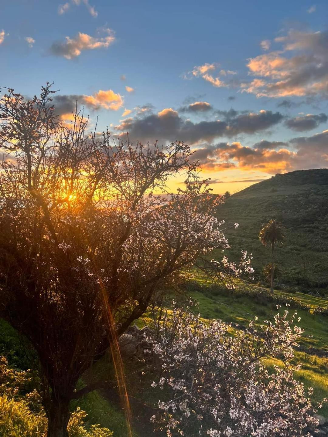 Casa Rural La Vega Алохера Экстерьер фото